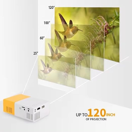 LED PROJECTOR