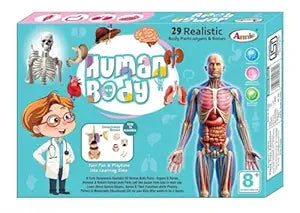EDUCATIONAL HUMAN BODY PARTS