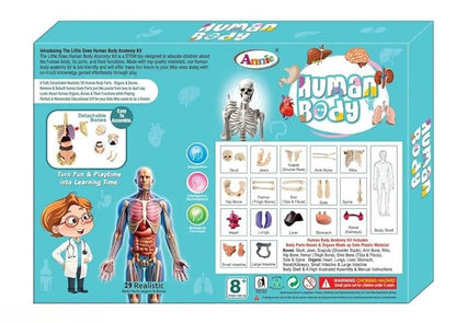 EDUCATIONAL HUMAN BODY PARTS