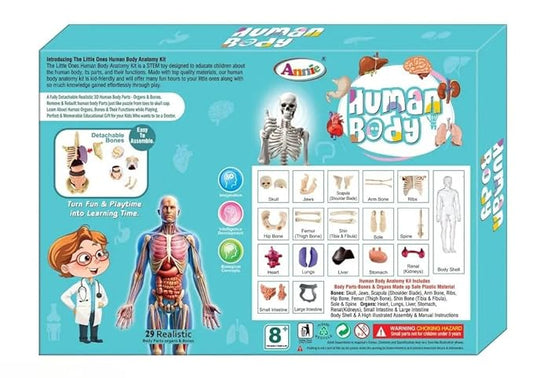EDUCATIONAL HUMAN BODY PARTS